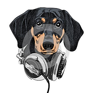 Ilustraciones el perro criar perro tejonero en música auriculares 