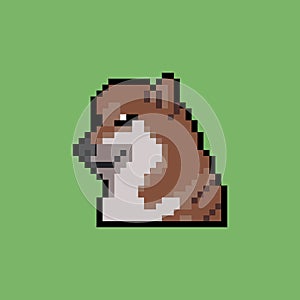 Vector illustration of dog. Pixel design. Funny 8 bit style.