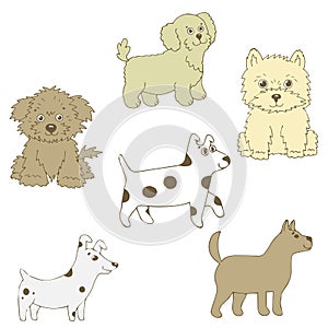 Vector illustration of a doggie six pieces. Different curly, smooth-haired, small.