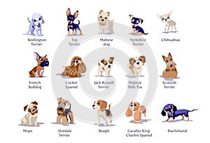 Vector illustration of dogs puppies different breeds