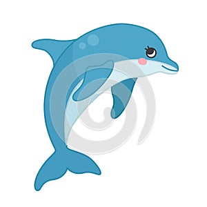 Vector illustration of dolphin