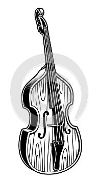 Vector illustration of double bass on white background