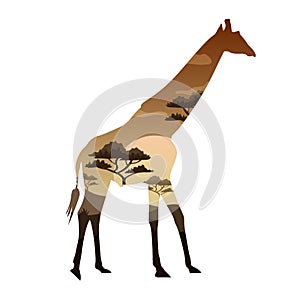 Vector Double exposure. Bear, elephant, camel and Leopard, wildlife concept