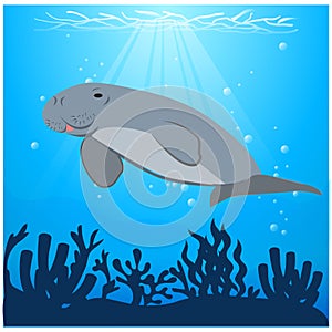 vector illustration dugong swimming under the sea with algae animal conservation