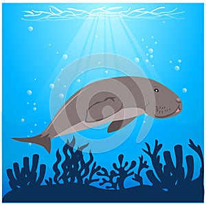 vector illustration dugong swimming under the sea with algae animal conservation