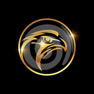 Eagle Head in Golden Circle Logo