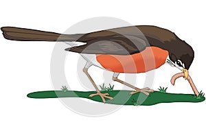 Early Bird Gets the Worm Illustration