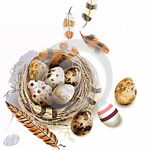 Vector illustration with Easter eggs bird nest feathers in vintage style