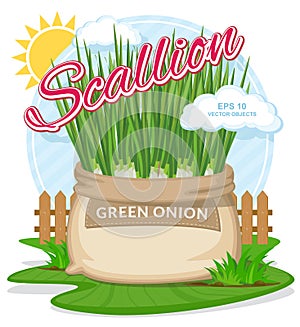 Vector illustration of eco products. Green onion in burlap sack.