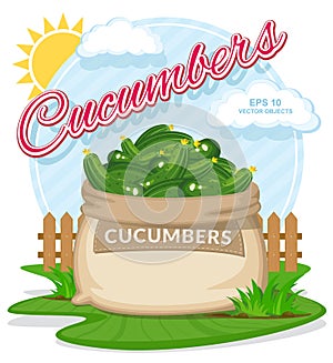 Vector illustration of eco products. Ripe Cucumbers in burlap sack.