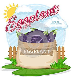 Vector illustration of eco products. Ripe Eggplant in burlap sack.
