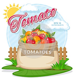 Vector illustration of eco products. Ripe Tomatoes in burlap sack.
