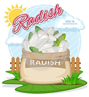 Vector illustration of eco products. Ripe White Radish in burlap sack.