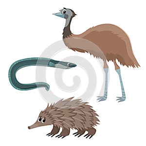 Vector illustration of emu, eel and echidna isolated on white.