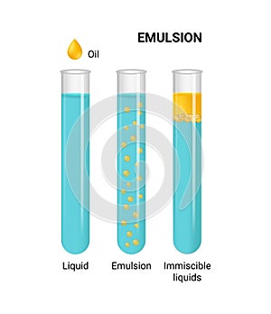 Vector illustration of emulsion of two liquids oil and water in tubes isolated on white background