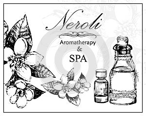 Vector illustration of essential oil of neroli