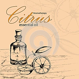 Vector illustration of essential oil of orange