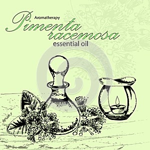 Vector illustration of essential oil of pimenta racemosa