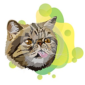 Vector illustration of an exotic shorthair cat. Portrait on a green background. Gradient.
