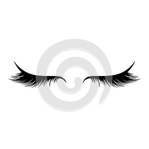Vector illustration eyelashes