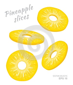 Vector illustration of falling pineapple slices isolated on white background. A cut rings of fresh exotic fruit
