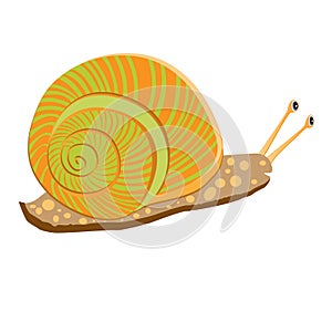 Vector Illustration of fanny cartoon orange snail on white background