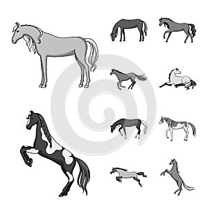 Vector illustration of farm and riding logo. Set of farm and equestrian vector icon for stock.