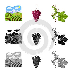 Vector illustration of farm and vineyard sign. Collection of farm and product stock symbol for web.