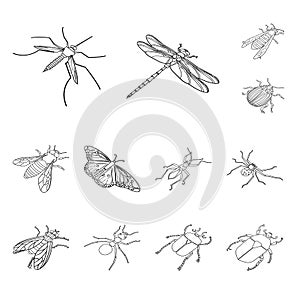 Vector illustration of fauna and entomology logo. Set of fauna and animal stock vector illustration.