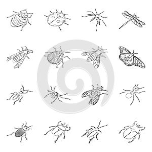 Vector illustration of fauna and entomology sign. Collection of fauna and animal stock symbol for web.