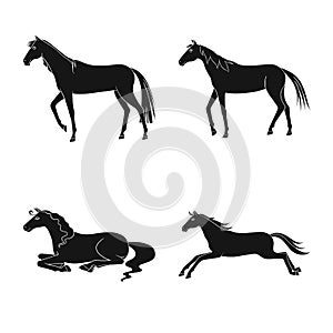 Vector illustration of fauna and mare logo. Collection of fauna and stallion stock vector illustration.