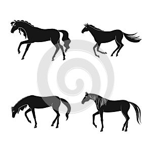 Vector illustration of fauna and mare logo. Set of fauna and stallion vector icon for stock.
