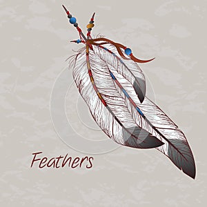 Vector illustration of feathers