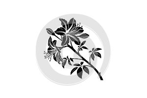 Canvas flower design vector art illustration eps photo