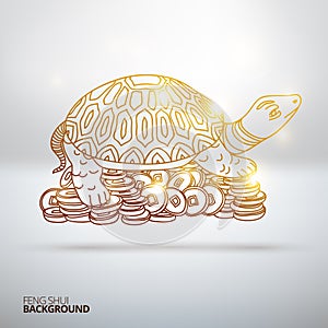 Vector illustration with Feng Shui turtle