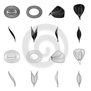 Vector illustration of fiber and muscular icon. Collection of fiber and body  vector icon for stock.