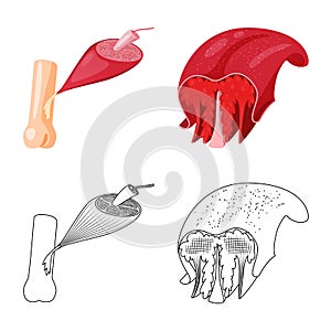 Vector illustration of fiber and muscular icon. Set of fiber and body  vector icon for stock.