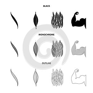 Vector illustration of fiber and muscular logo. Collection of fiber and body vector icon for stock.