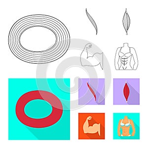 Vector illustration of fiber and muscular sign. Set of fiber and body  vector icon for stock.