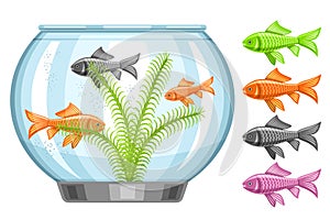 Vector illustration of Fish Tank