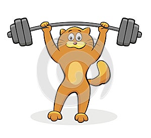 Vector illustration of a fit cat lifting a heavy barbell over his head. Workout exercise by bodybuilder with weight. Gym