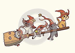 Witch cats flying on a broomstick Ã¢â¬â vector cartoon photo
