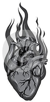 Vector illustration with flaming heart at fire