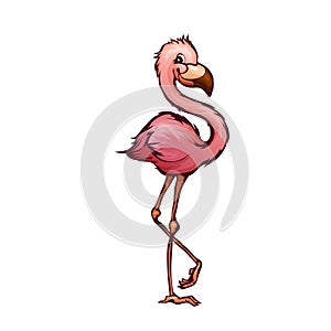 Vector illustration of flamingo in cartoon style