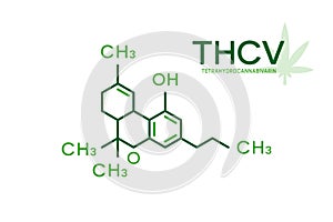 THCV molecular formula. Tetrahydrocannabivarin molecule structure on white background.