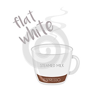 Vector illustration of a Flat White coffee cup icon with its preparation and proportions photo