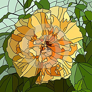 Vector illustration of flower hibiscus (Chinese rose).