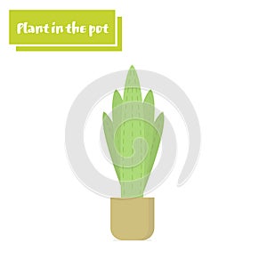 Vector illustration flower, plant growing in a pot. Potted plant icon. Little plant seedling.