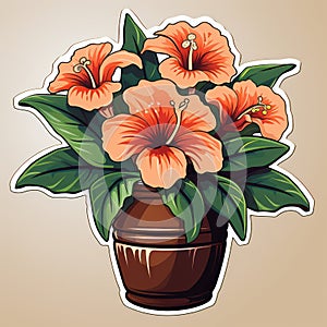 vector illustration of a flower pot with orange hibiscus flowers on a beige background
