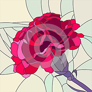 Vector illustration of flower red carnation.
